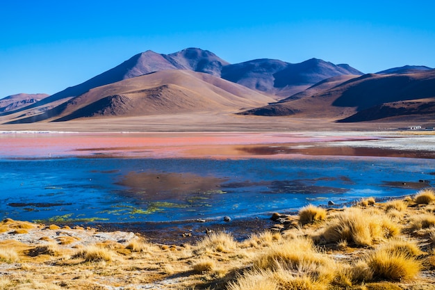 Lago laguna colorada