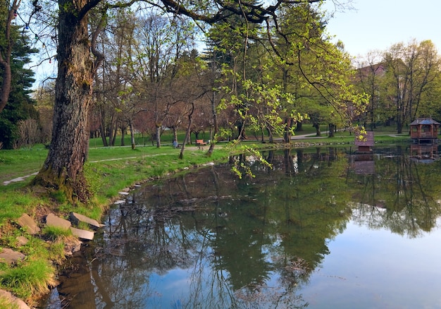 Lago lindo primavera no parque.