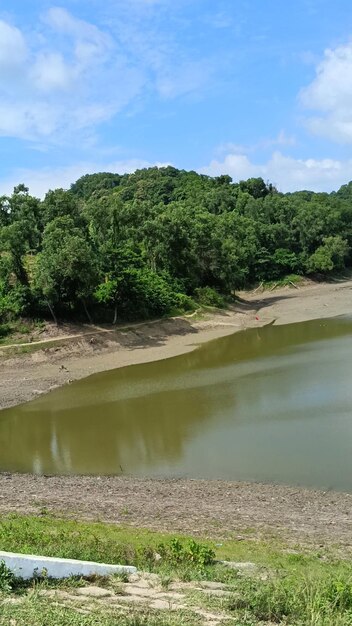 Foto un lago maravilloso junto a un paisaje verde un cielo hermoso