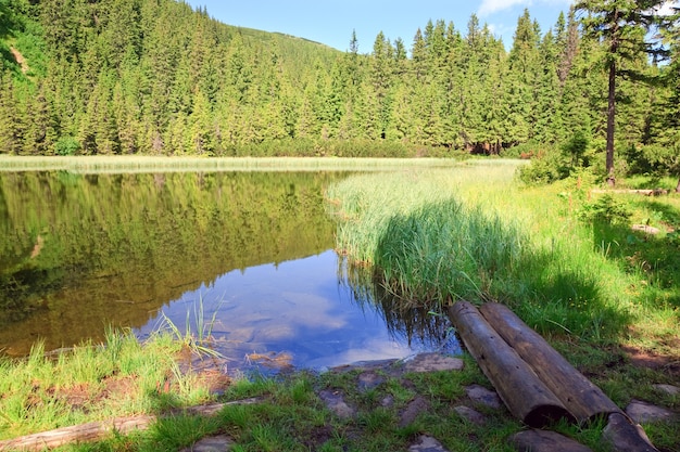 Lago Marichejka de montanha no verão e reflexão de floresta de abetos (Ucrânia, Cordilheira Chornogora, Montanhas dos Cárpatos)