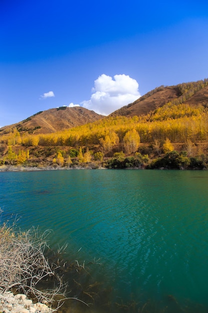 Lago de montaña con árboles amarillos Paisaje otoñal Kirguistán AkTuz gorge Fondo natural