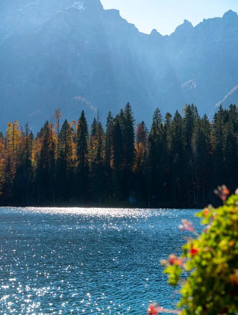 Lago de montaña, árboles otoñales y poderosas montañas a la luz del sol