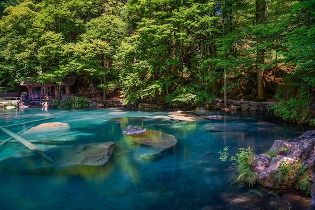 Lago de montaña blausee en la región de jungfrau de suiza