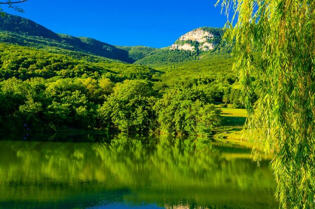 Un lago de montaña con un bosque en un día de verano.