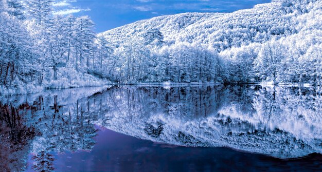 Foto un lago de montaña nevado con un bosque en el fondo