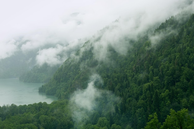 Lago de montaña en la niebla