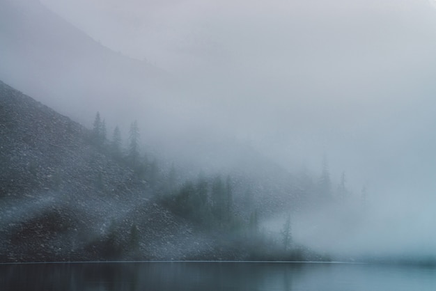 Lago de montaña tranquilo y pendiente empinada pedregosa con árboles coníferos en una densa niebla.