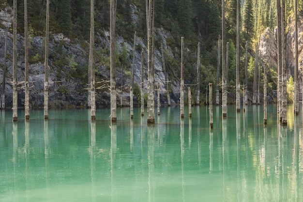 lago de montaña único de Kaindy en Kazajstán con un bosque hundido