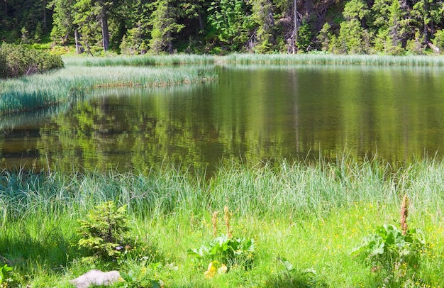 Lago de montaña de verano Marichejka y reflejo del bosque de abetos (Ucrania, Chornogora Ridge, Cárpatos)