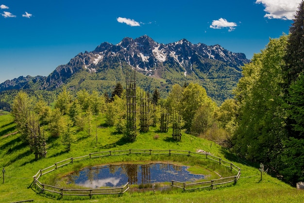 Lago de la Montaña