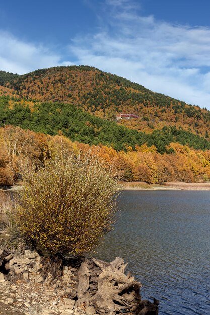 Lago en las montañas en un día soleado de otoño Grecia Peloponeso montañoso Corinthia