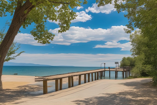 lago en las montañas una hermosa vista de una playa rodeada de árboles bajo un cielo nublado