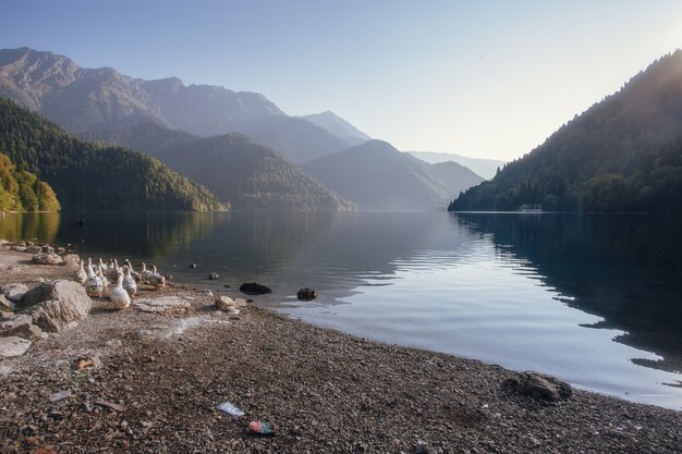 Lago montañas y niebla