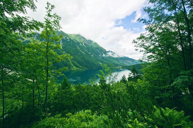 lago en las montañas