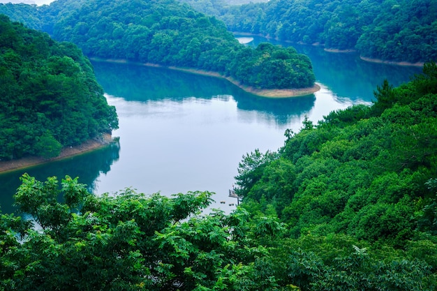 Un lago en las montañas