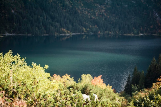 Lago Morskie Oko Eye of the Sea en las montañas Tatra en Polonia