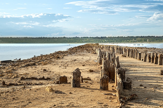 El lago muerto y los viejos troncos de sal son visibles desde el agua.