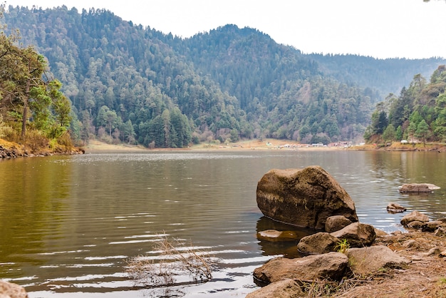 Foto lago na floresta com dia nublado de montanhas