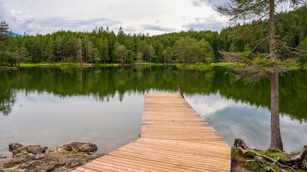 Lago na floresta Moserer See Austria