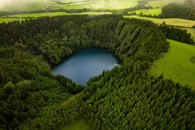 Lago na floresta verdejante