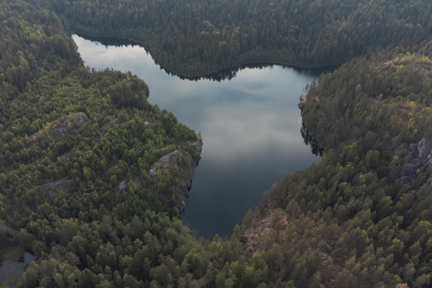 Foto lago na floresta vista atmosférica da vida selvagem