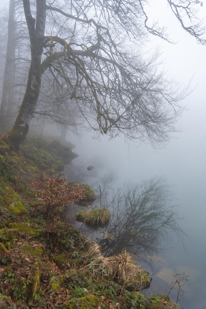 Lago na natureza em dia nublado