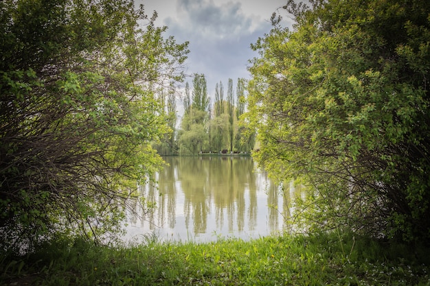 Lago na natureza