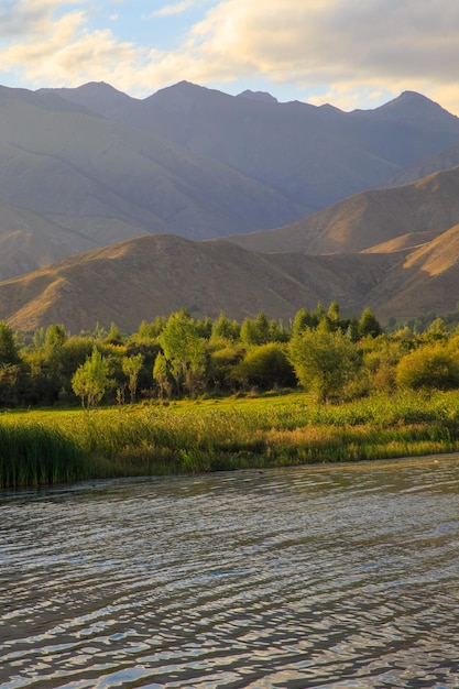 Lago nas montanhas Baía tranquila na vegetação ao pôr do sol Lugar para descansar Lago IssykKul do Quirguistão
