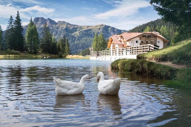 Lago nas montanhas Dolomitas