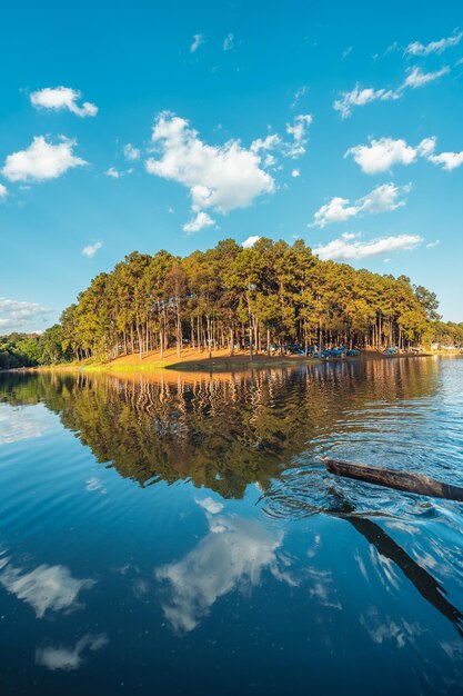 Lago natural y bosque Camping, viajes por la naturaleza.