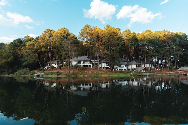 Lago natural y bosque Camping, viajes por la naturaleza.