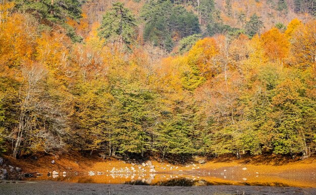 Lago Nazli en el Parque Nacional Yedigoller Turquía