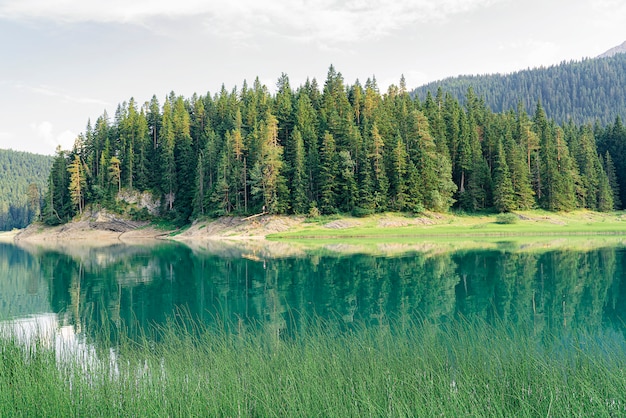 Lago Negro com reflexos, Parque Nacional Durmitor, Zabljak, Montenegro