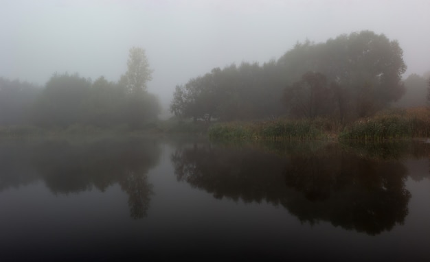 Lago en la niebla del reflejo