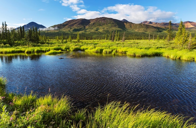 Lago no Alasca