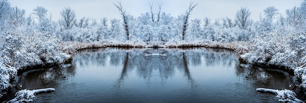 Lago no inverno na floresta. Zaporozhye, Ucrânia. Foto simétrica.