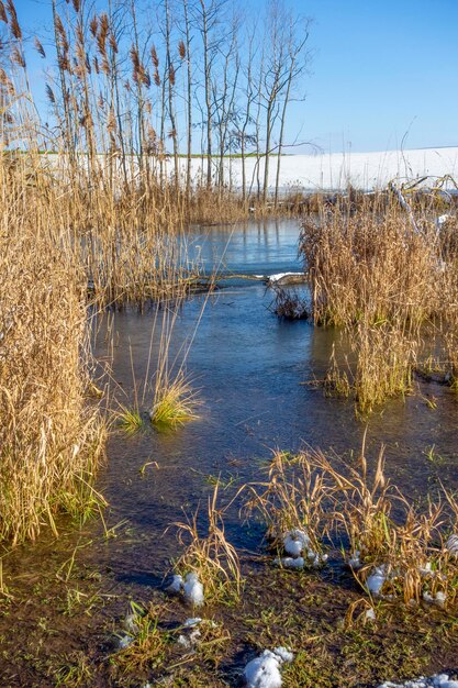 Lago no inverno