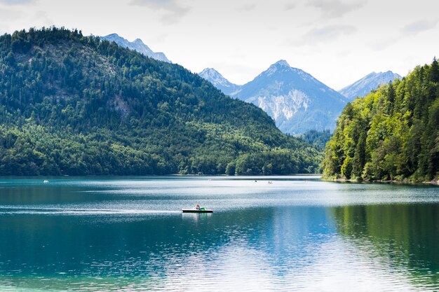 Lago no meio da floresta