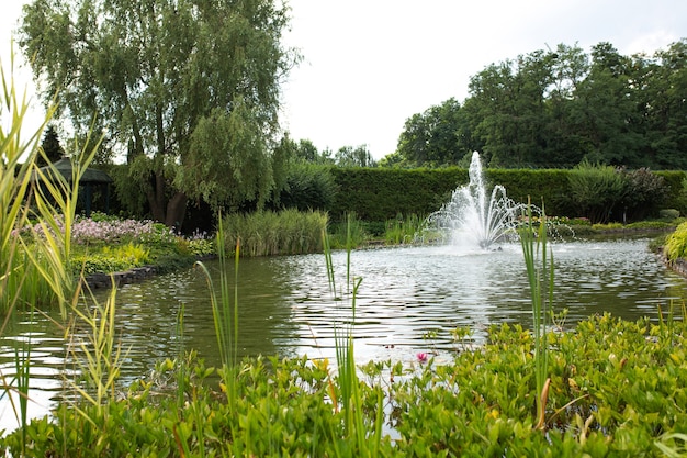 Lago no parque com grama e fonte