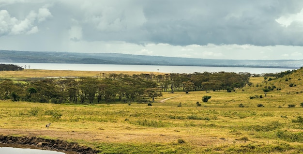 Lago Nukuru Kenia