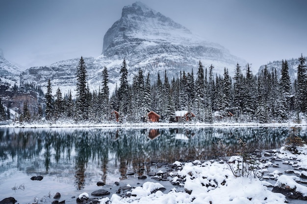 Lago Ohara con cabaña de madera y cubierta de nieve en un bosque de pinos en un día sombrío en el parque nacional Yoho Canadá