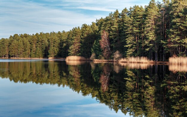 El lago de otoño