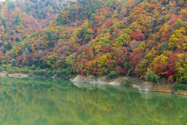 Lago y paisaje de bosque de otoño