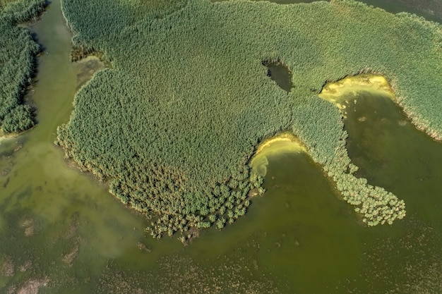 Lago pantanoso, fotografía aérea, en un día de verano, imagen de fondo