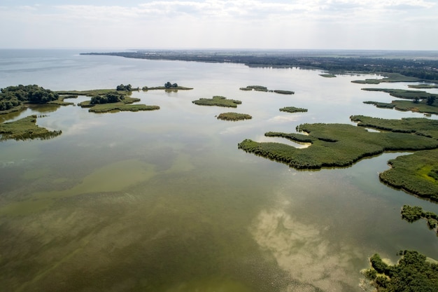 Lago pantanoso, fotografia aérea em um dia de verão