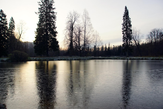 Lago en el parque cubierto por el primer hielo fino