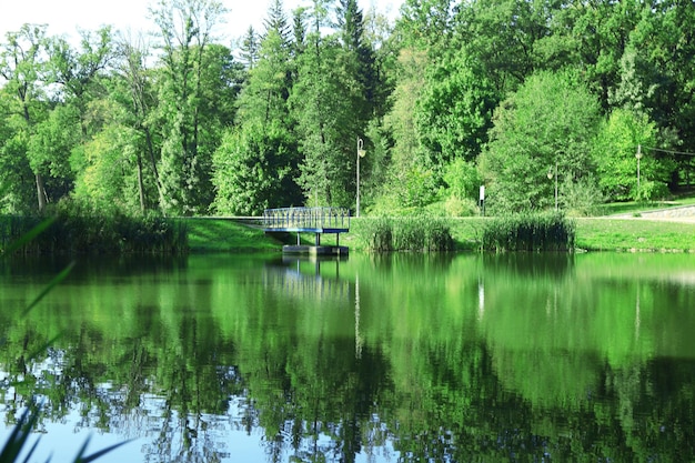 Lago en el parque Feofania Kiev Ucrania