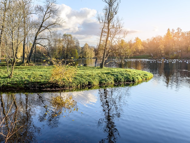 Lago en el parque de otoño al atardecer