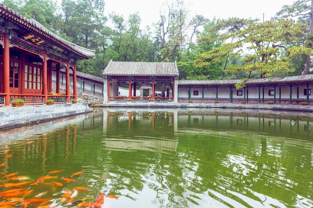 El lago en el parque y los peces ornamentales rojos, el corredor chino