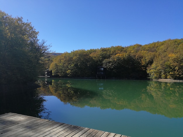 Un lago en un parque rodeado de bosque de coníferas